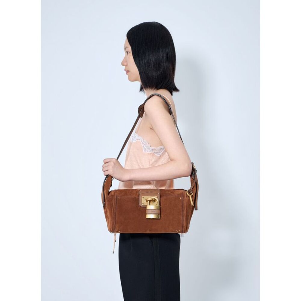 Chloé Women Paddington Suede Crossbody Bag - Picture 2 of 6